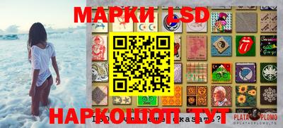 PSILOCYBIN Нальчик