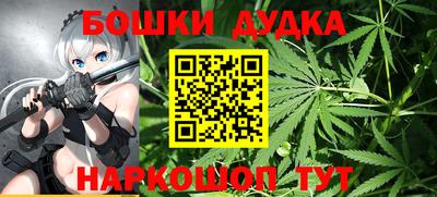 PSILOCYBIN Нальчик