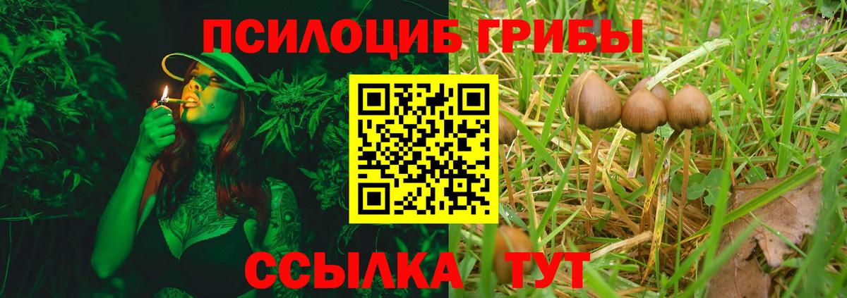 Фролово  Галлюциногенные грибы Psilocybine cubensis  Галлюциногенные грибы мухоморы  Вход с VPN 