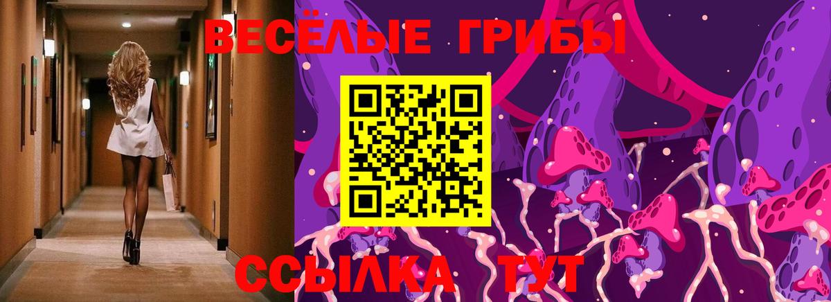 Псилоцибиновые грибы MAGIC MUSHROOMS Фролово