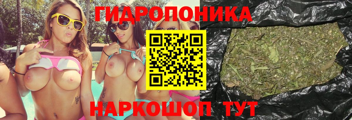 Канабис Amnesia  Марихуана сатива  МАРИХУАНА LSD WEED  Фролово  Вход с VPN 